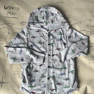 New Hanna Andersson Gray Hoodie with Dinosaur Design